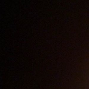 Meet your Posher, Charlotte